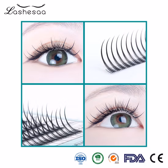 Hot Selling Soft Ellipse Flat Eyelash Extensions Cashmere Flat Lashes Extensions Flat False Lashes