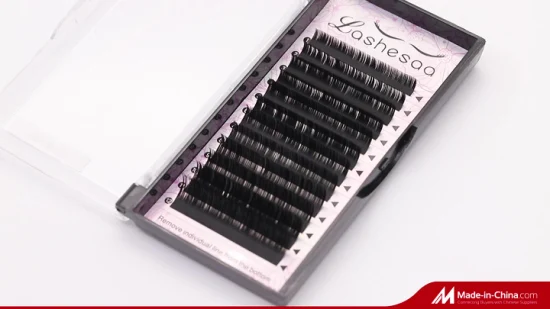 Mengfan Chine Vente en gros de produits de beauté Maquillage Cils Extension de cils colorés Ventilateurs préfabriqués Extension de cils individuels Volume Cils Cils