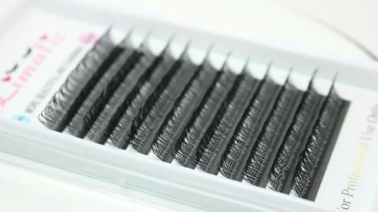 Levi Eyelash 2D Y Shape Extension de cils en gros Yy Lashes 0.05mm 0.07mm Yy Lash Extensions Private Label