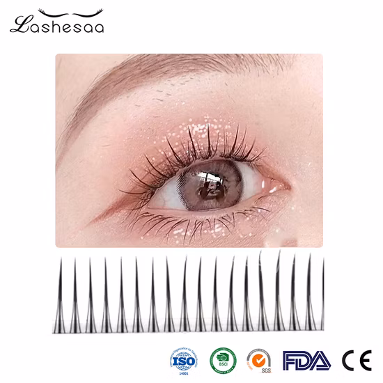 Vente chaude Soft Ellipse Extensions de cils plats Cachemire Extensions de cils plats Extensions de faux cils plats